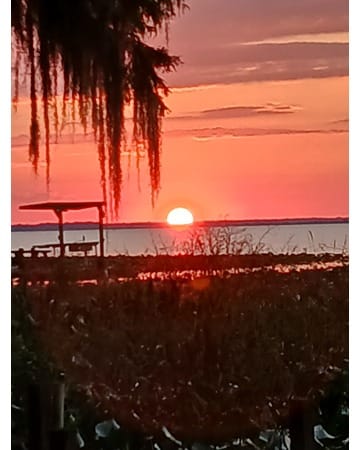 homes for sale in lorida florida